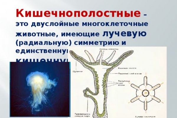 Список даркнет сайтов