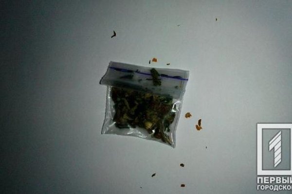 Kraken в россии