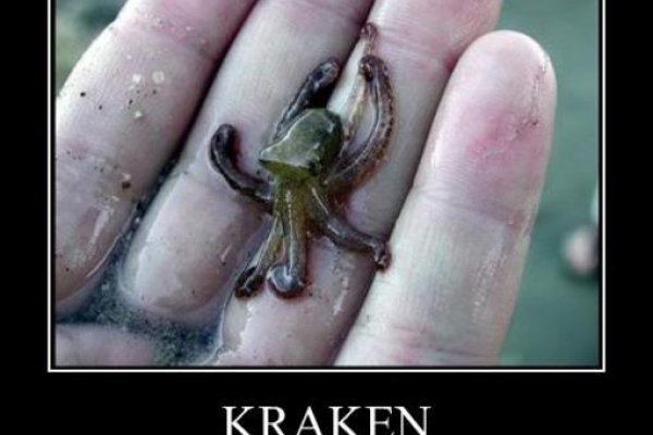 Kraken market ссылка