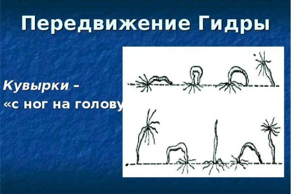 Kraken 15 at сайт