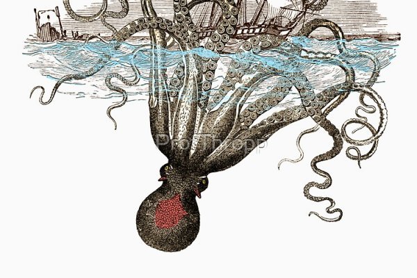Kraken 17at