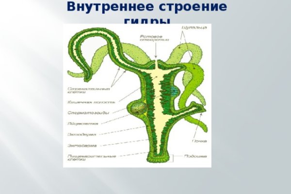 Даркнет москва