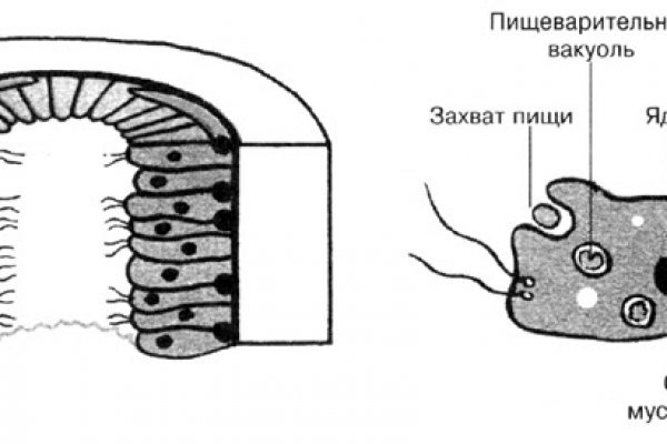 Kraken ссылка тг