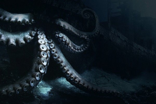 Kraken 12g