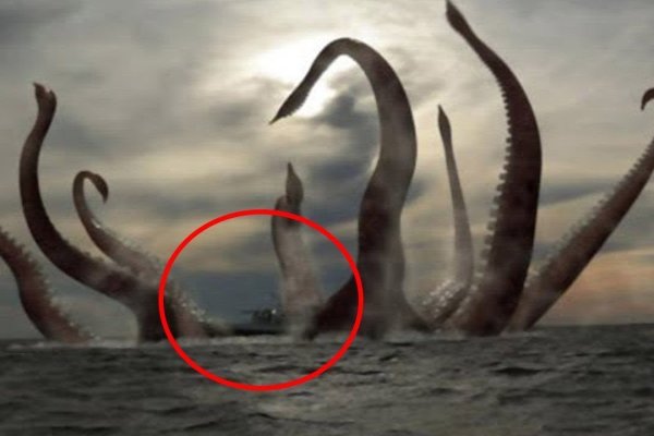 Kraken17 at