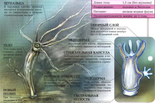 Kraken ссылка kraken link24 info