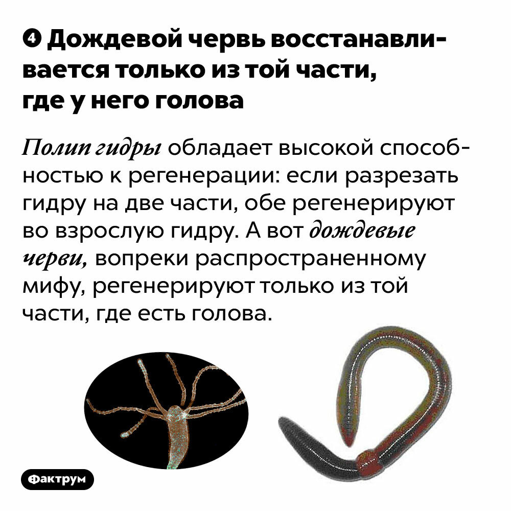 Kraken12 at сайт